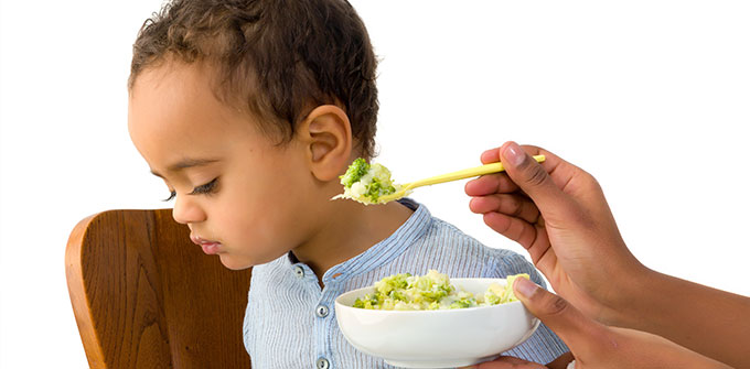 Tips for Coping with a Fussy Eater